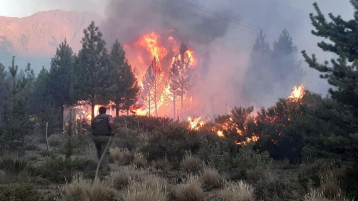 El intendente de El Bolsón aseguró que la situación por el incendio "es compleja"