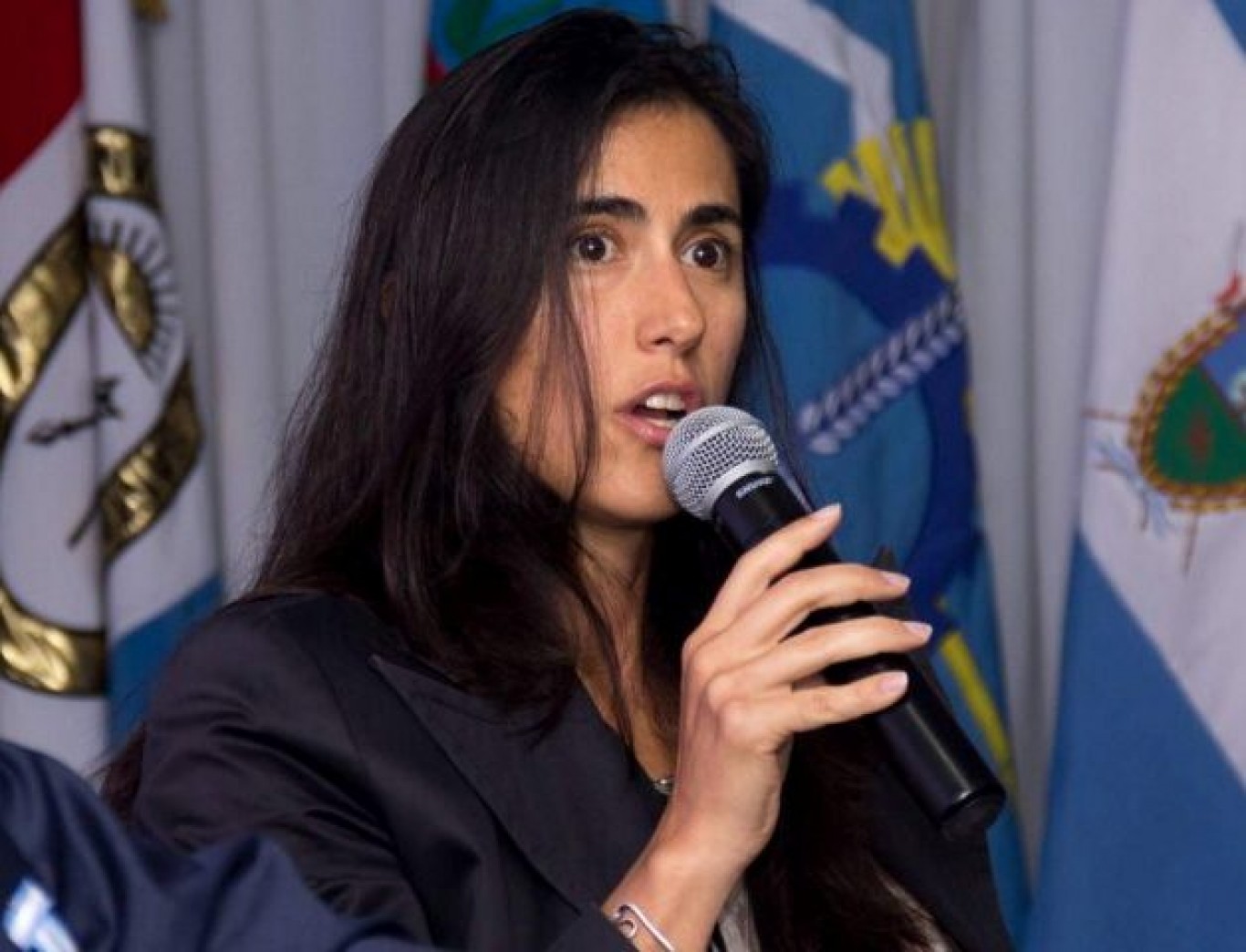 Jimena de la Torre: "Los ocho años de Echegaray en la AFIP fueron el comienzo de una historia de degradación que no tiene arreglo"