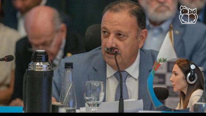 &quot;Gobernador Quintela, usted tampoco está por encima de la Constitución&quot;