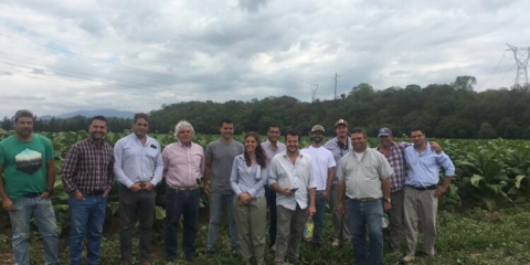 Emulando el modelo CREA, Martín Gana coordina en Salta el primer grupo de productores de tabaco