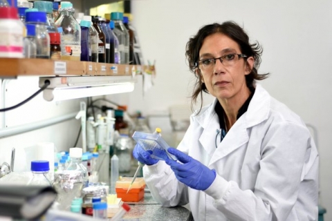 Daniela Hozbor: “Los rusos ya tienen una plataforma por la vacuna que desarrollaron contra el ébola