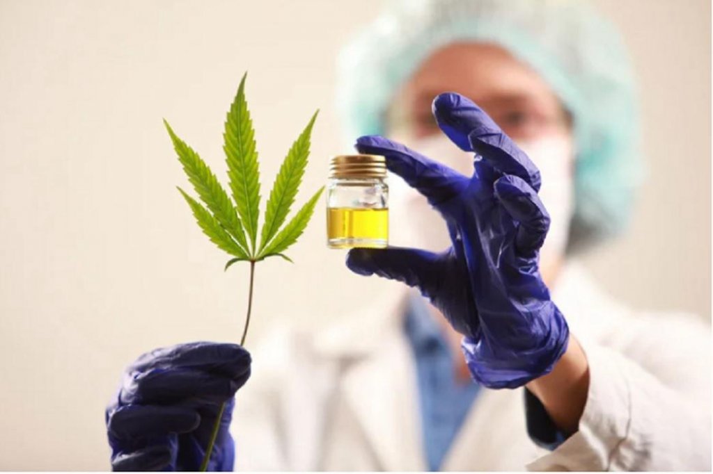 Dra. Flavia Aragón: "En la legislatura de Chubut votamos por unanimidad que el cannabis medicinal es una herramienta terapéutica válida que el paciente necesita"