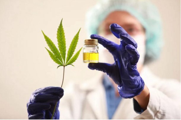 Dra. Flavia Aragón: "En la legislatura de Chubut votamos por unanimidad que el cannabis medicinal es una herramienta terapéutica válida que el paciente necesita"