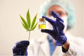 Dra. Flavia Aragón: "En la legislatura de Chubut votamos por unanimidad que el cannabis medicinal es una herramienta terapéutica válida que el paciente necesita"