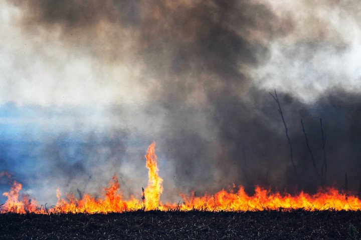 El humo de los incendios en el Delta ¿Afecta a los pulmones?
