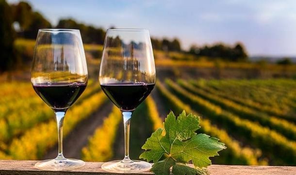 Alicia Carballo: "Somos 21 mujeres productoras de vino y estamos orgullosas"