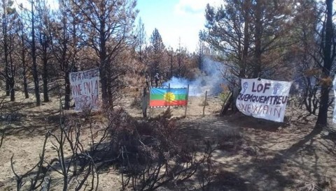 Diego Frutos, sobre el conflicto con los mapuches: "Magdalena Odarda fogonea todas estas situaciones"