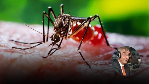 "La epidemia del dengue necesita acción y no peleas"