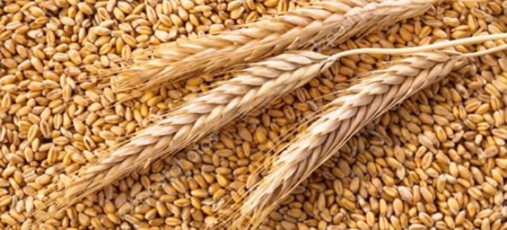 El Molino Campodónico lanzó la primera harina de trigo orgánica refinada del país: “La producimos un día por mes y crecemos todos los meses”, contó su presidente