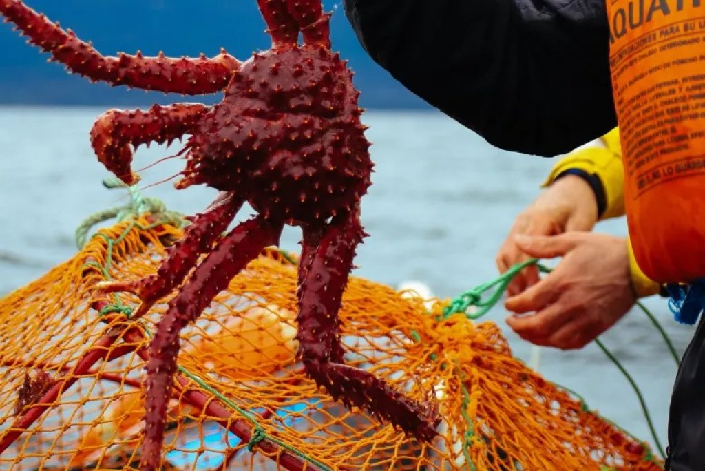 Vivía en Dock Sud, se mudó a Tierra del Fuego para pescar centollas y ahora recibe a chefs de todo el mundo