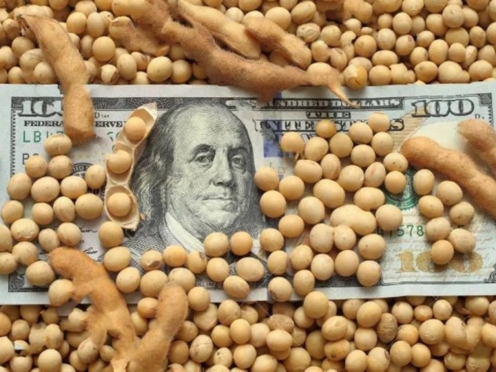 Alarma en los mercados por aumento del dólar blue y caída en el precio de la soja