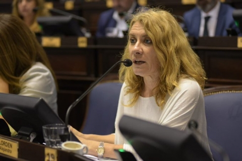 Alejandra Lordén: "Estamos discutiendo la interpelación de Gollan en el Congreso"
