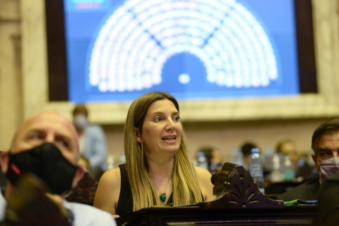 Silvia Lospennato: "La ley del Ministerio Público Fiscal es de interés del oficialismo y de nadie más, al resto nos importan otras cosas"