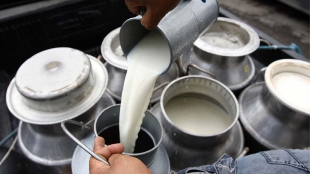 Cintia Soriano: "La peligrosa oferta de leche sin pasteurizar en internet. El valor proteico de las arvejas y las ventajas de la manzanilla"