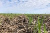 Alejandro O'Donnell: "Todo gira en torno a la mitigación de los gases que provocan el cambio climático"